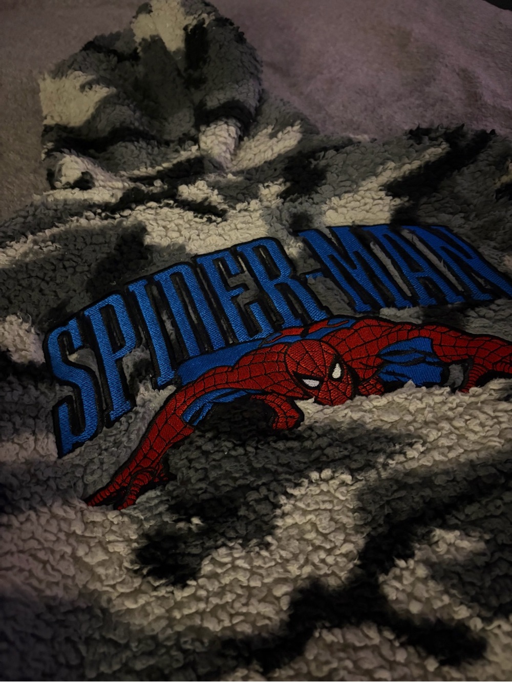 Y2K Marvel Spider-Man Hoodie